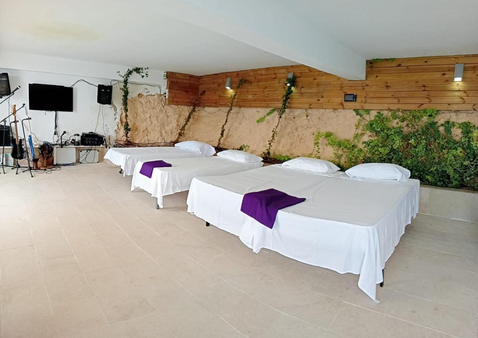 VIP seafront villa El Toro  Extérieur photo